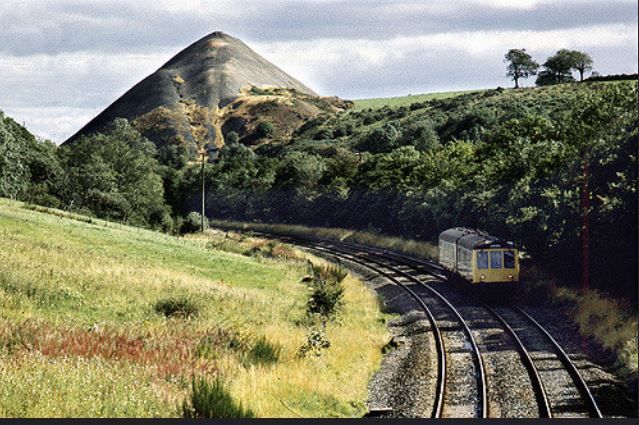 birkby pit bank.jpg