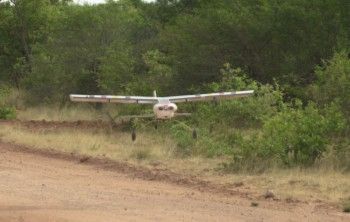 Hornbill Landing