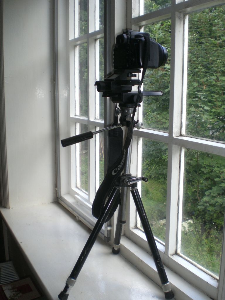 camera & tripod.jpg